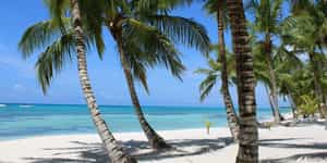 Punta Cana
